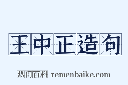 王中正造句是什么意思的图片